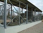 DSCF0319.JPG
