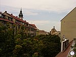1005.jpg